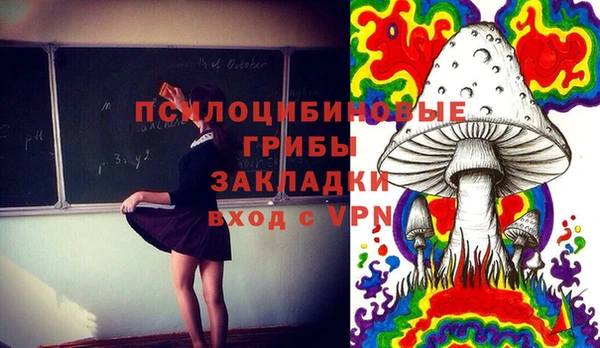 мяу мяу мука Абдулино