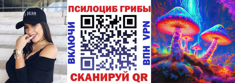 Псилоцибиновые грибы Psilocybe  купить наркоту  Шиханы 